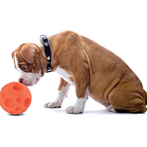 The Omega Paw Tricky Treat Ball