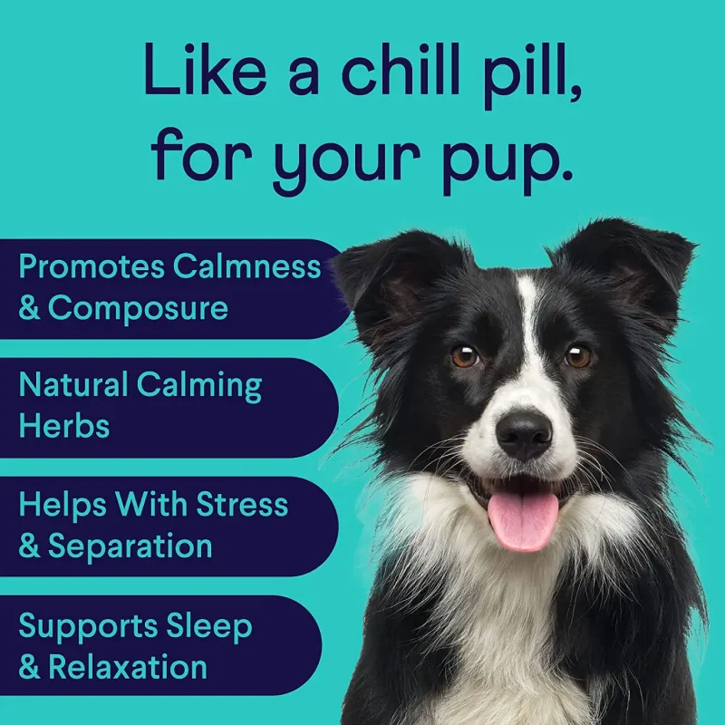 Finn Calming Aid Chews Features