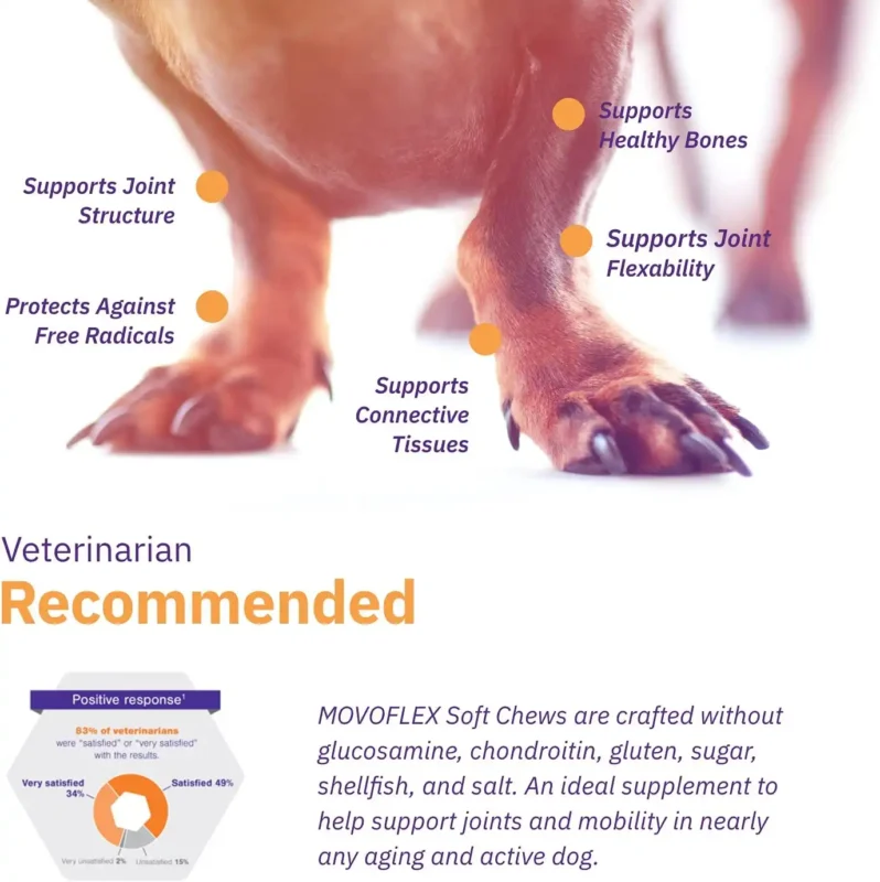 MOVOFLEX Joint Support Soft Chews for Medium Dogs recommendation