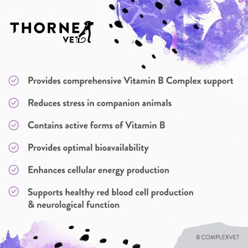 ThorneVet B ComplexVET – Vitamin B 2