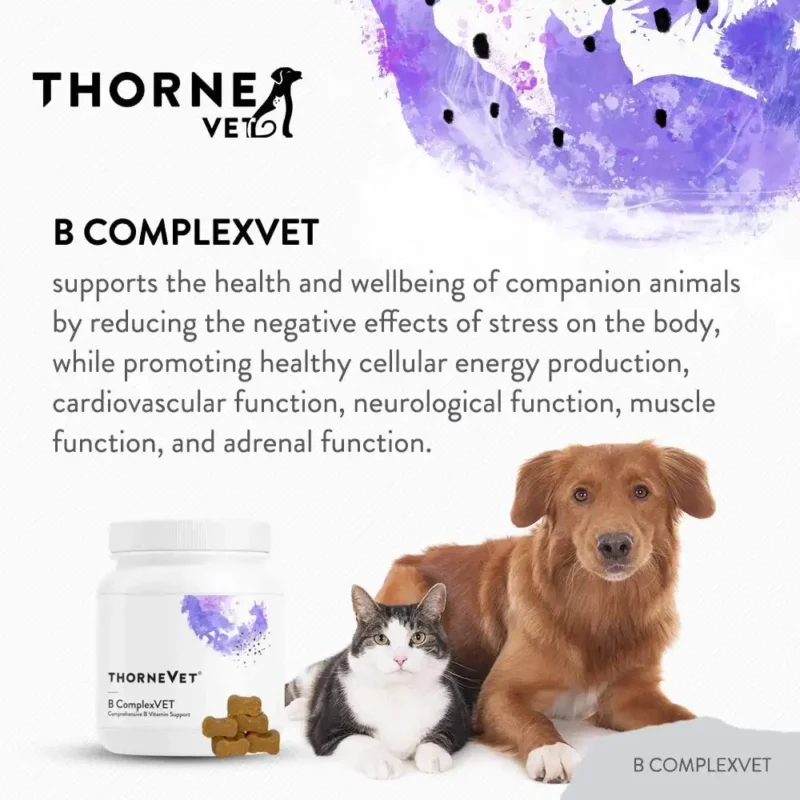 ThorneVet B ComplexVET – Vitamin B benefits
