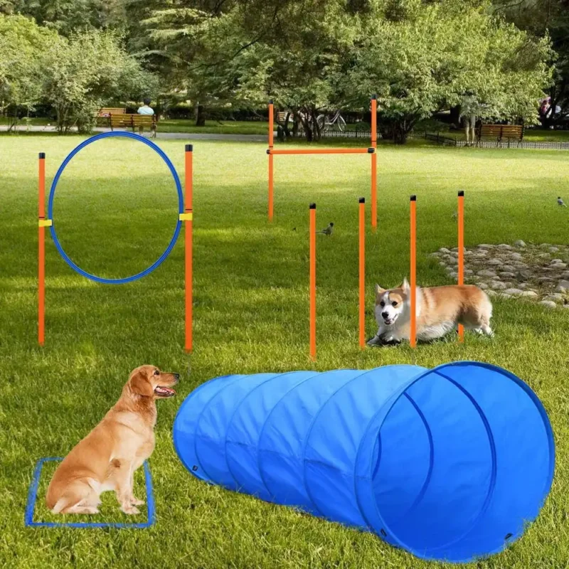 XiaZ Dog Agility Equipments, Obstacle Courses Training Starter Kit